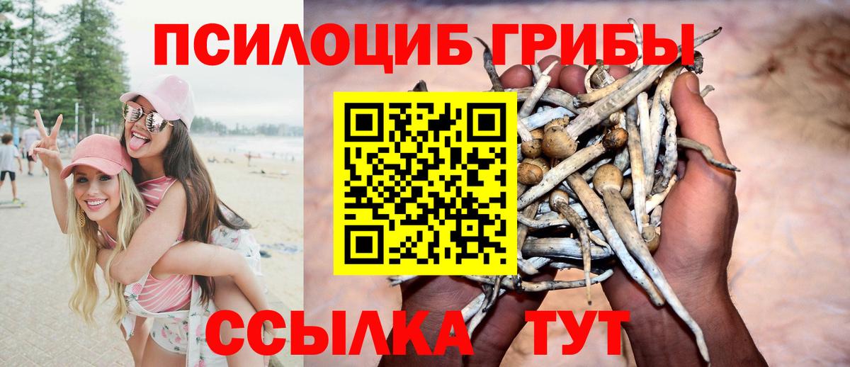 Галлюциногенные грибы прущие грибы Елабуга
